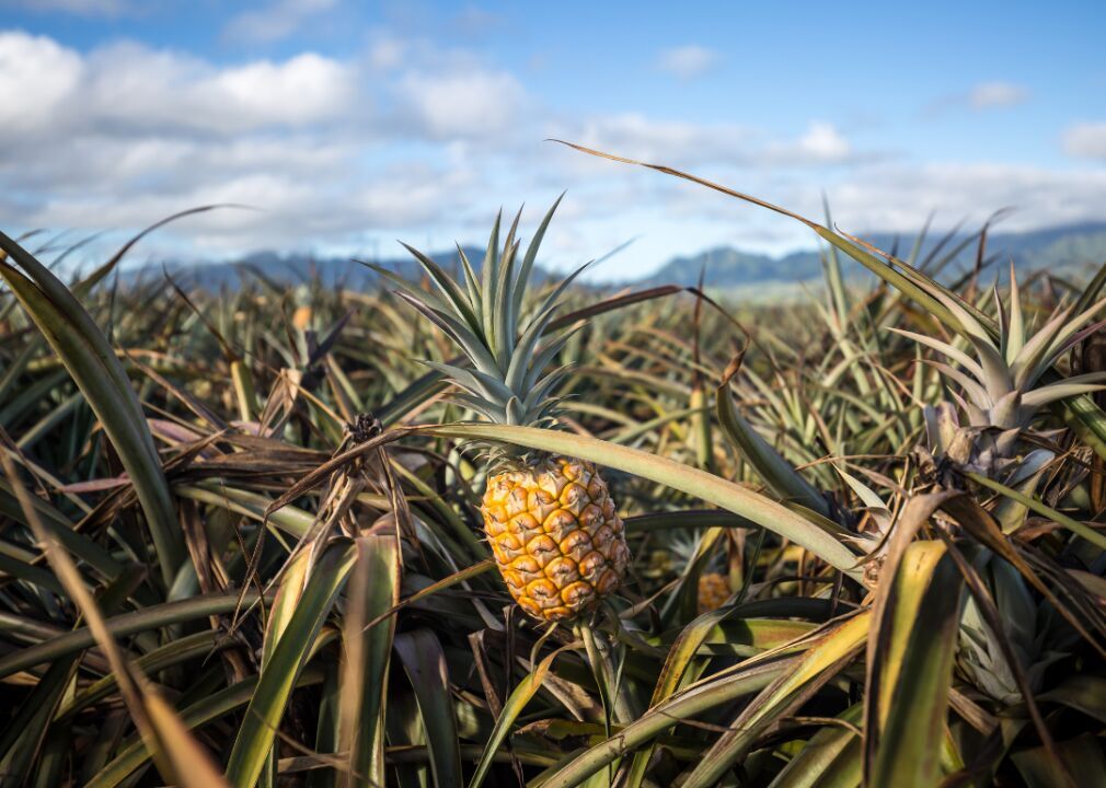 Hawaii: Hawaii